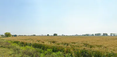 Nilokheri, Haryana 132117, India preview 2