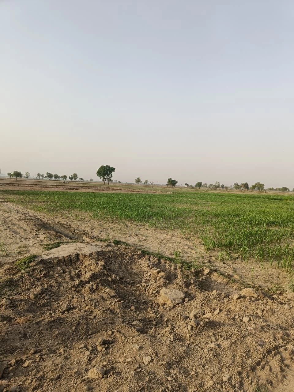 Rangpur, Rajasthan, India