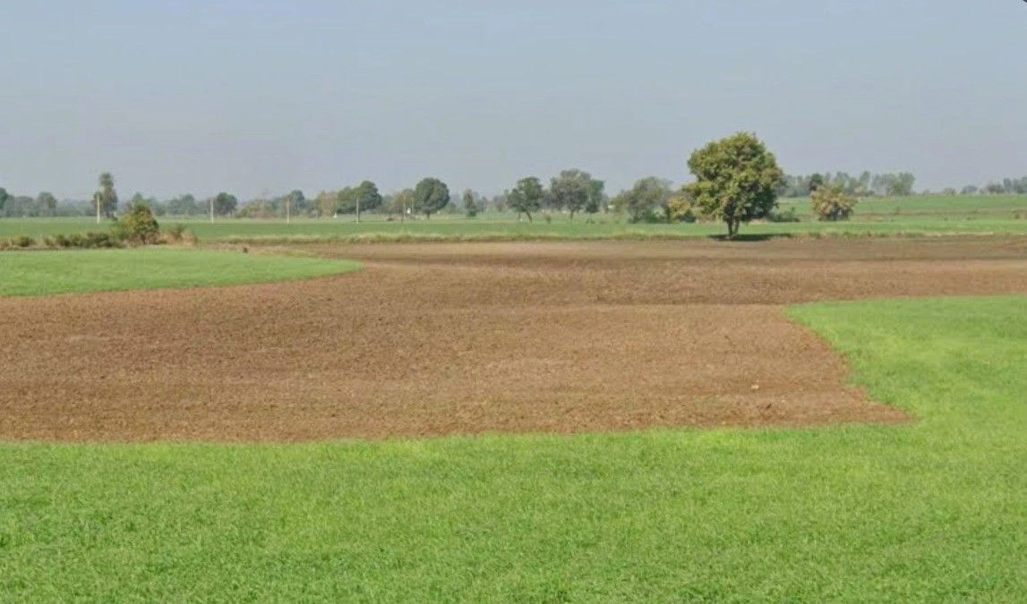 Tala, Madhya Pradesh 484664, India