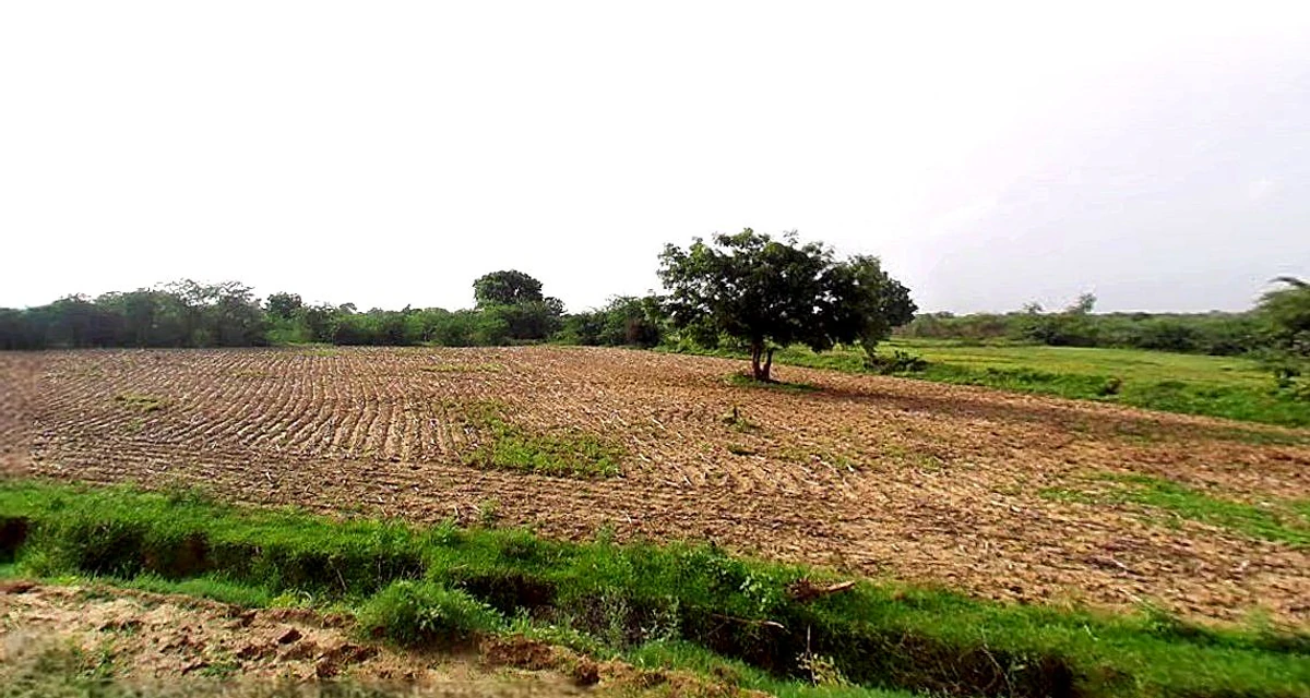 Suratgarh, Rajasthan 335804, India