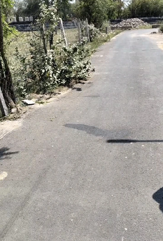 7JQH+F3Q, Jaipur, Dhodhsar, Rajasthan 303712, India
