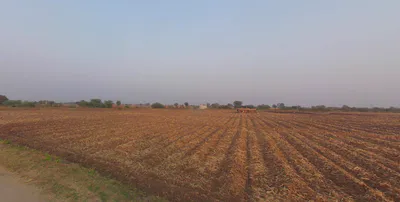 Dasalvada, Gujarat 387365, India preview 2