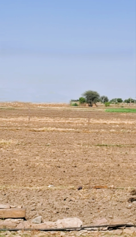 Nissing, Haryana 132024, India