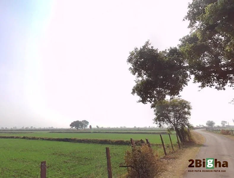 Raisen, Madhya Pradesh, India preview 3