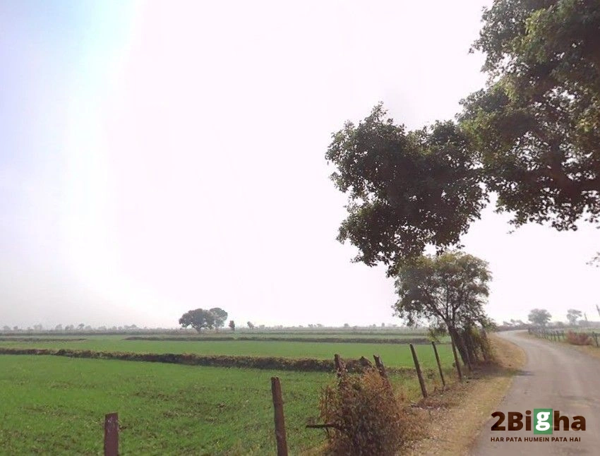 Raisen, Madhya Pradesh, India