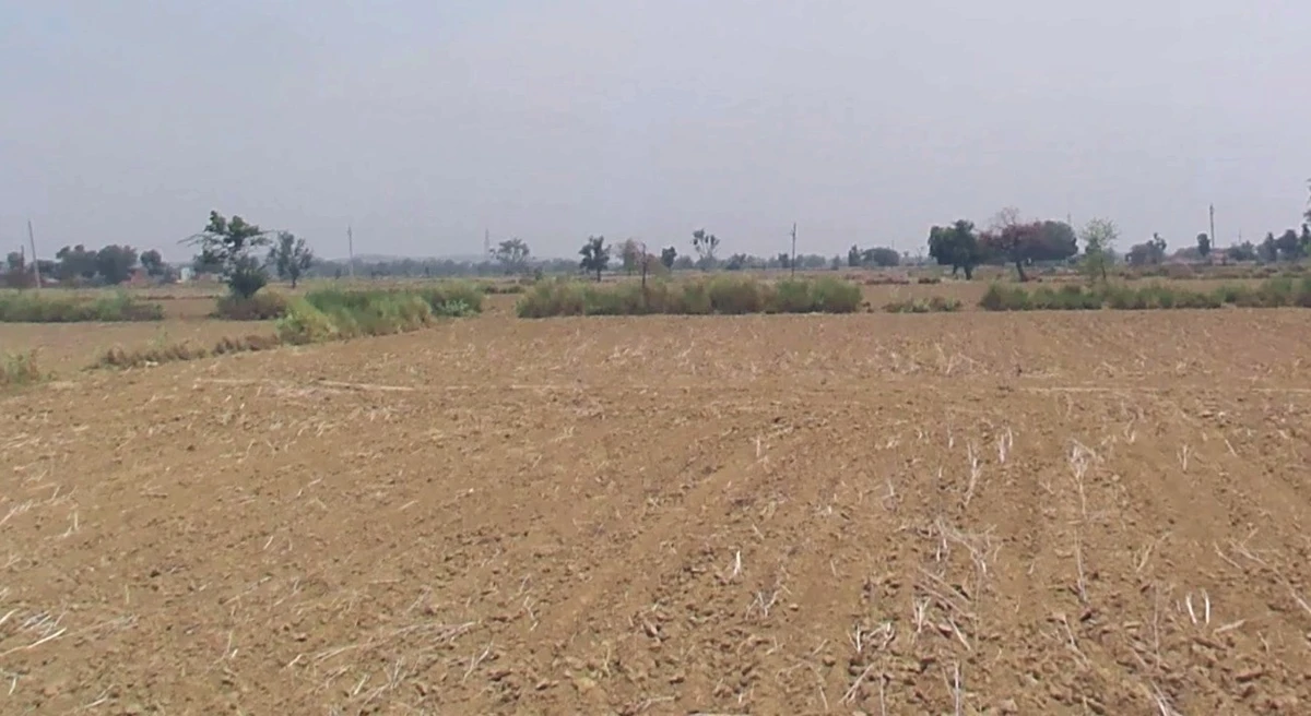 Arniya, Rajasthan, India