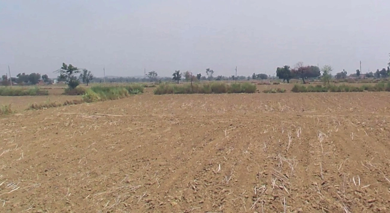 Arniya, Rajasthan, India