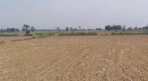 Arniya, Rajasthan, India preview 2