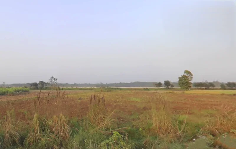 Bhagwanpur, Uttarakhand 247661, India preview 2