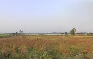 Bhagwanpur, Uttarakhand 247661, India preview 2