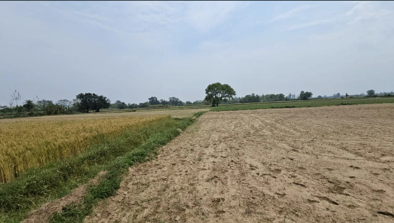 994Q+CM Khatoo, Sikar, Rajasthan, India
