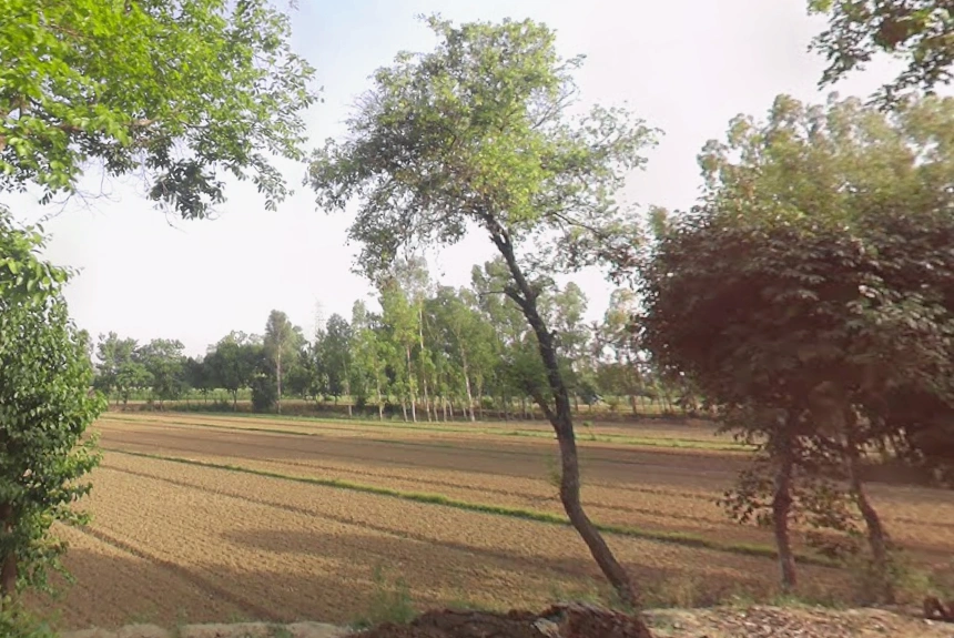 Alamnagar, Uttar Pradesh 245208, India