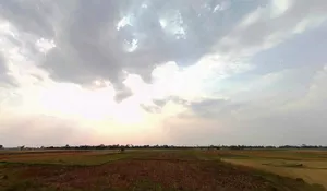 Pothahi, Dharahra, Bihar 804453, India preview 3