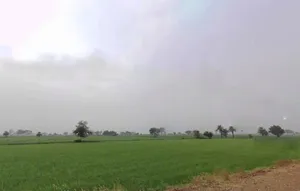 Betma, Madhya Pradesh 453001, India preview 2