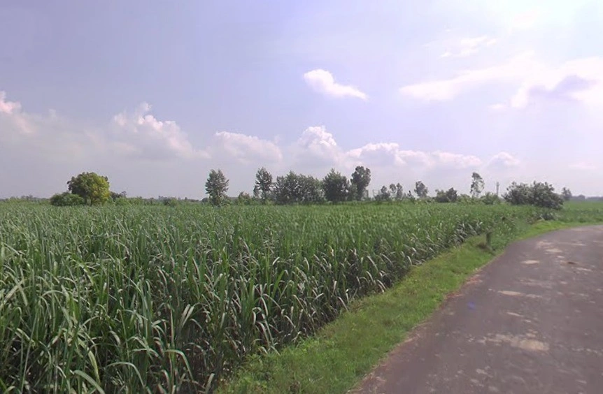 Jansath, Uttar Pradesh 251314, India