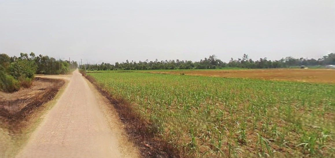 Ramnagar, Uttarakhand 244715, India