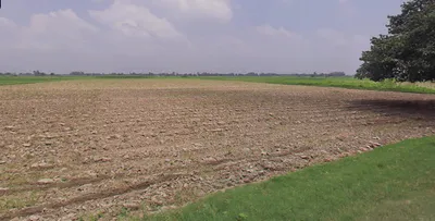 Amberpur, Uttar Pradesh 244921, India preview 2