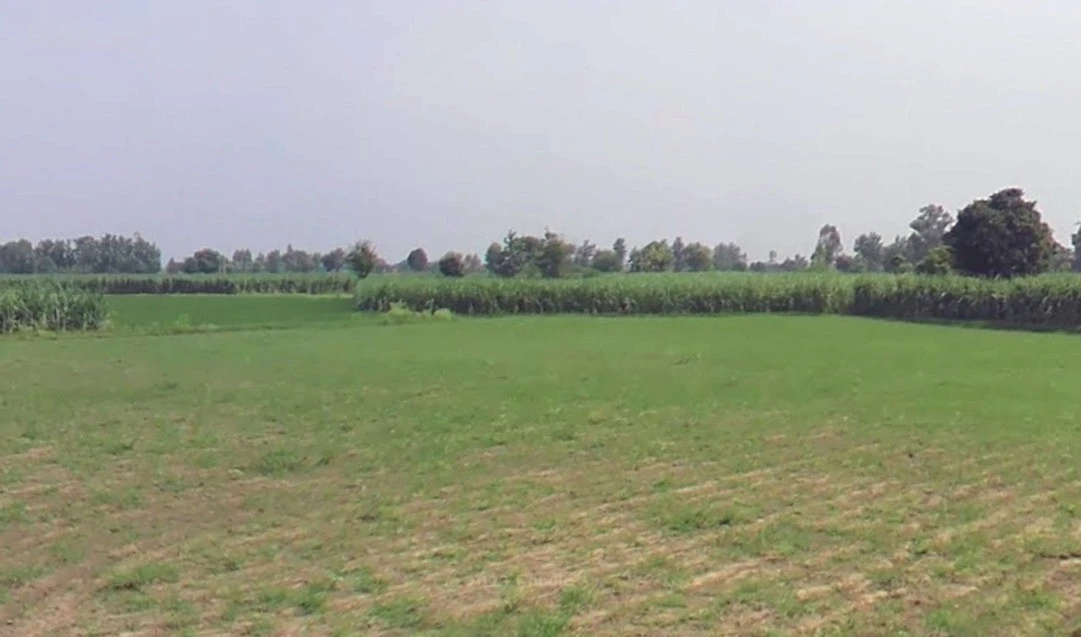 Alaumrod, Madhya Pradesh 465001, India