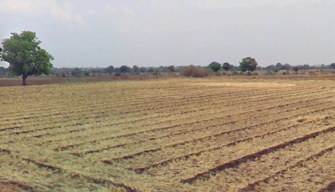 Chawdi, Madhya Pradesh 480661, India