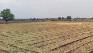 Chawdi, Madhya Pradesh 480661, India preview 2