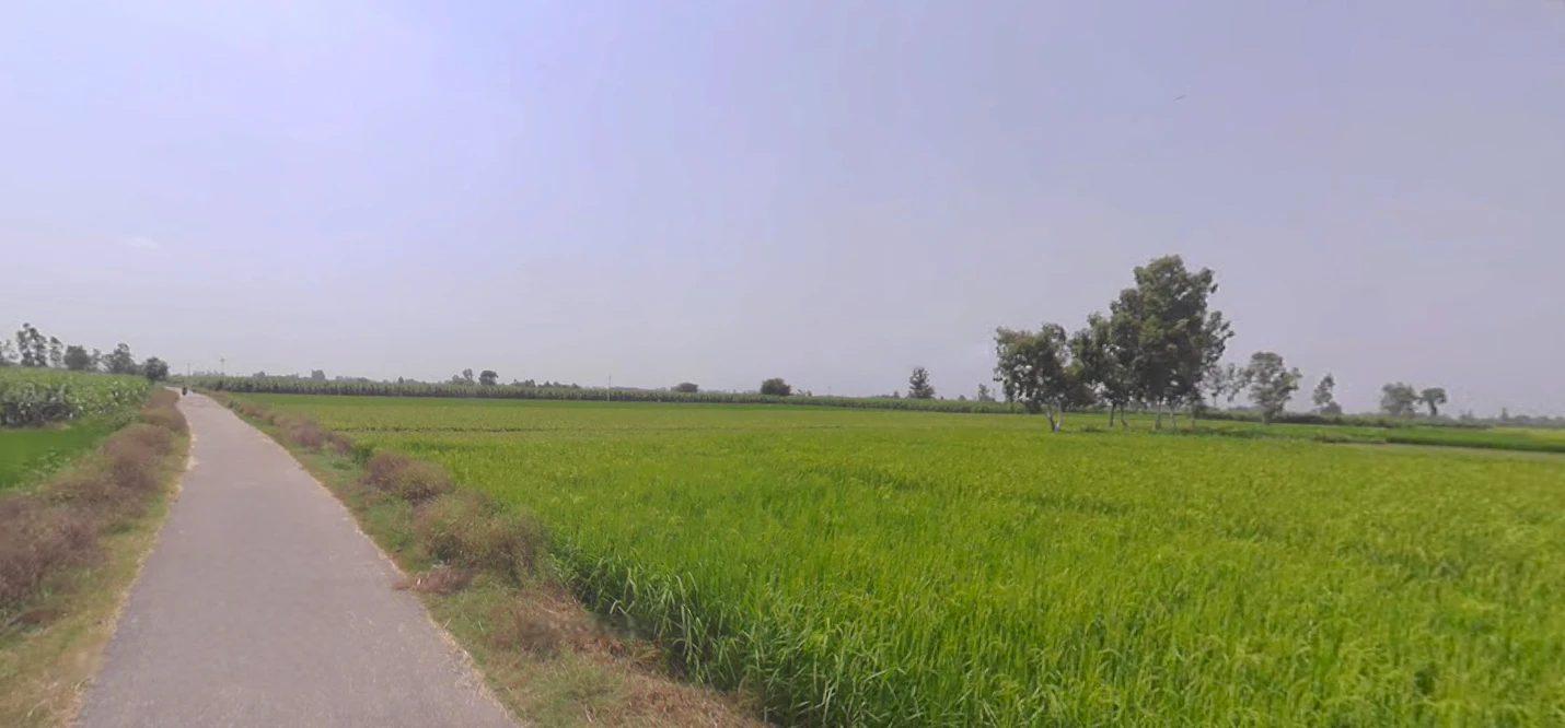 Hasanpur, Uttar Pradesh 244241, India