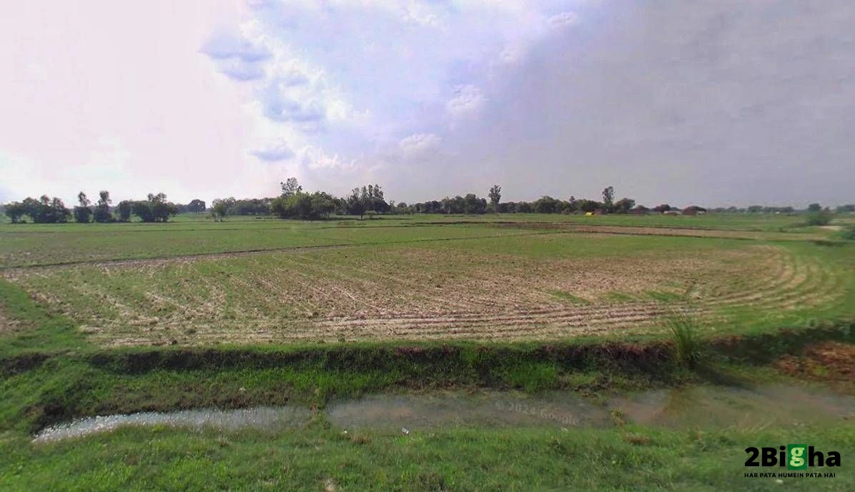 Roorkee, Uttarakhand, India