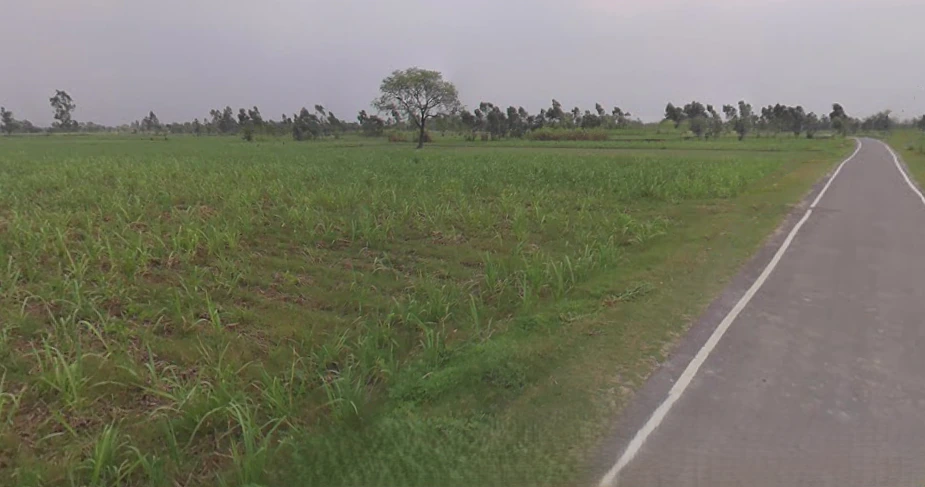 Hasanpur, Uttar Pradesh 244241, India
