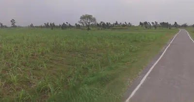 Hasanpur, Uttar Pradesh 244241, India preview 3