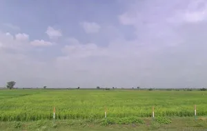 C328+69 Kapren, Rajasthan, India preview 3