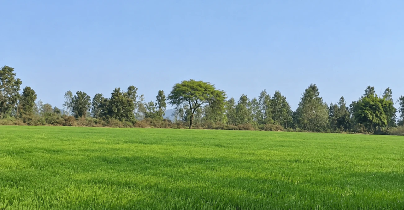 2237+R9 Chheriha Khurd, Chitrakoot, Uttar Pradesh, India