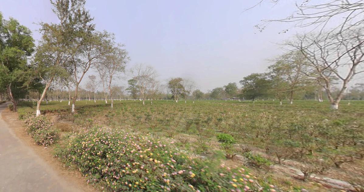 Mal Bazar, West Bengal 735221, India