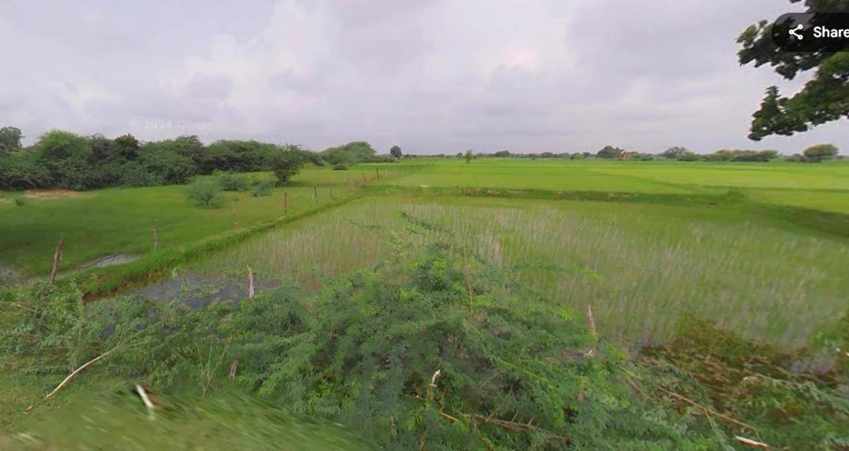 Gauripur, Assam 783331, India