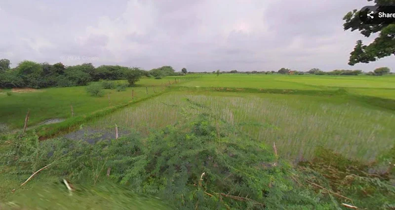 Gauripur, Assam 783331, India preview 2