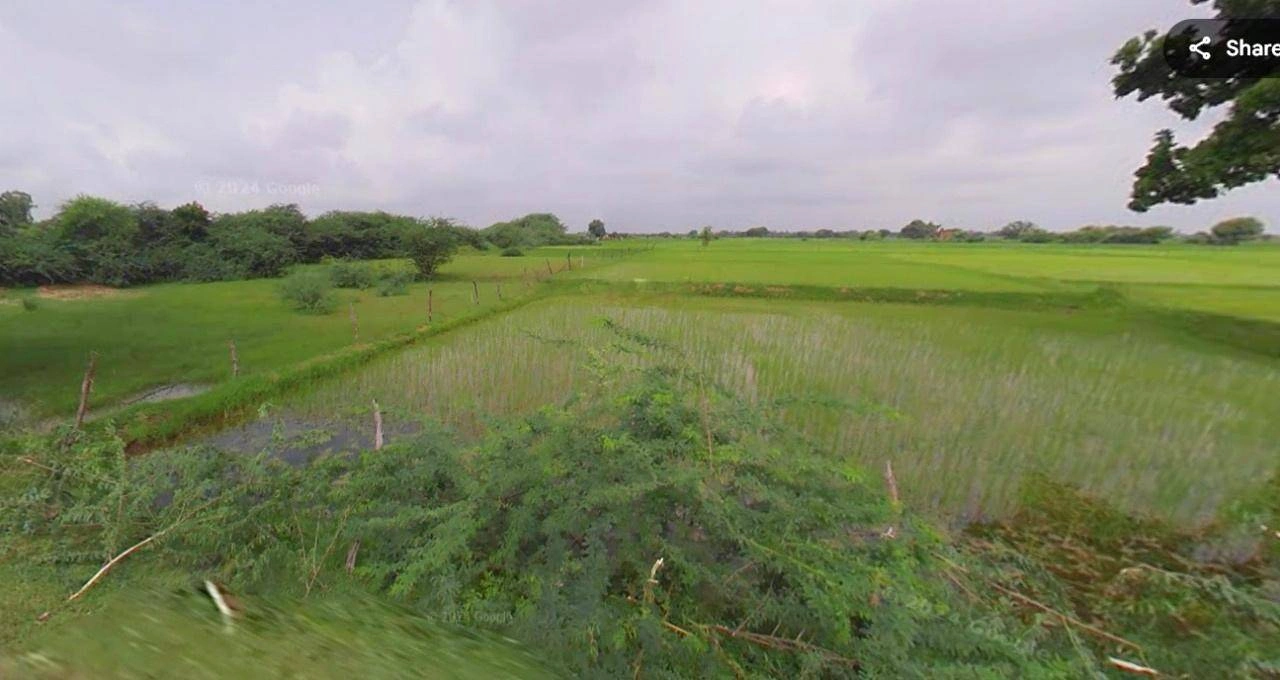 Gauripur, Assam 783331, India