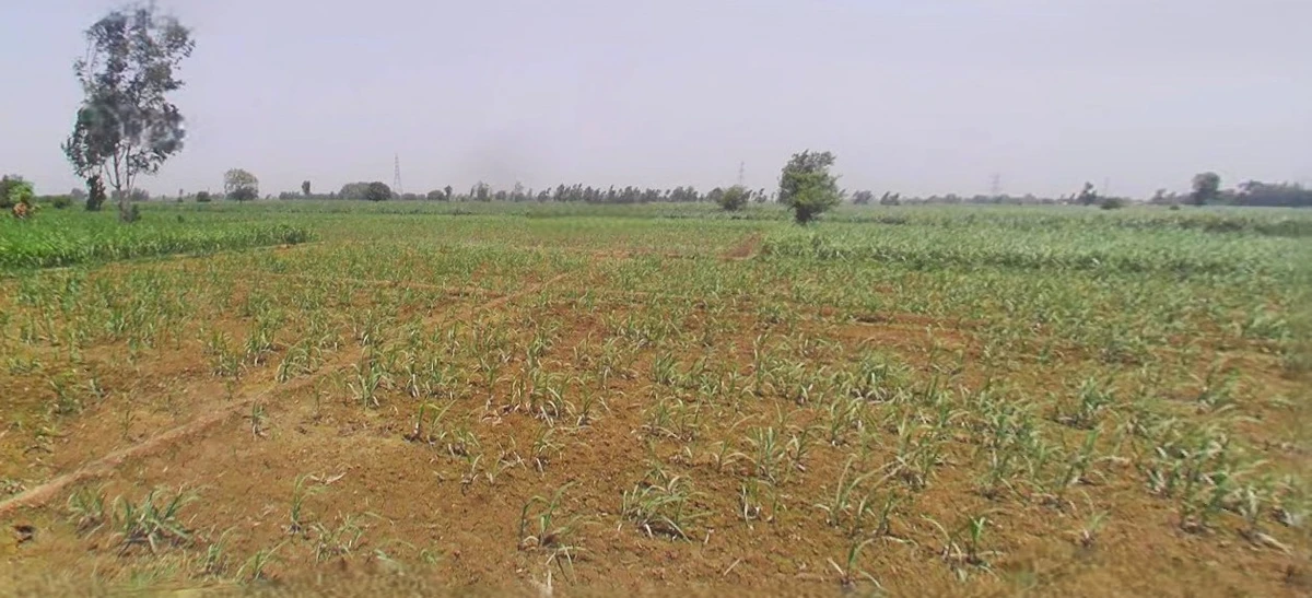 Najibabad, Uttar Pradesh 246763, India