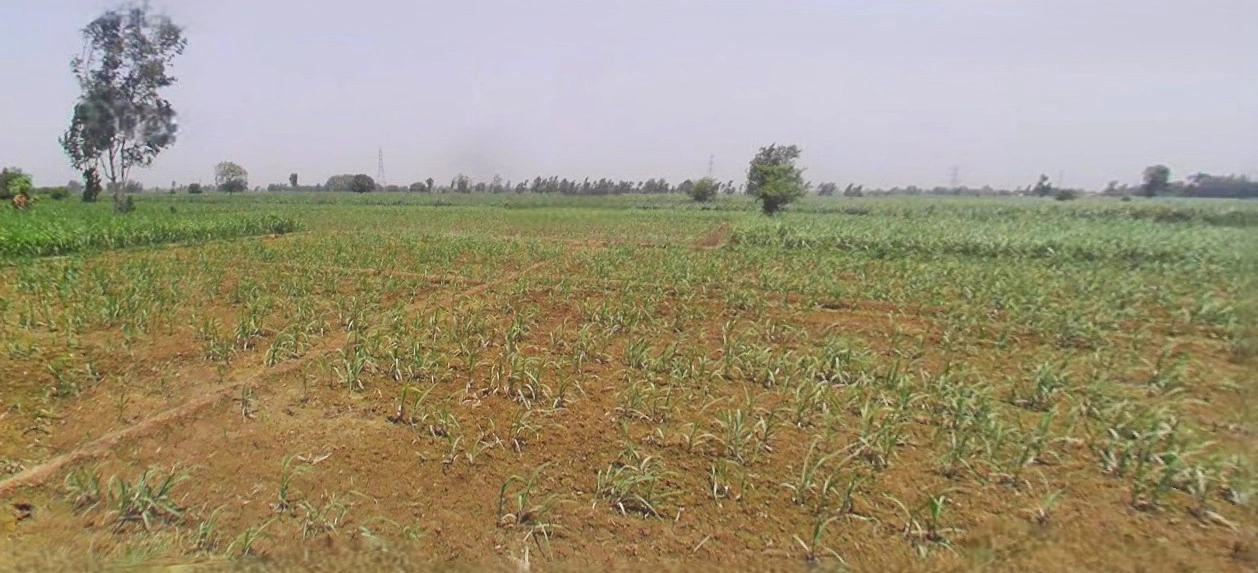 Najibabad, Uttar Pradesh 246763, India