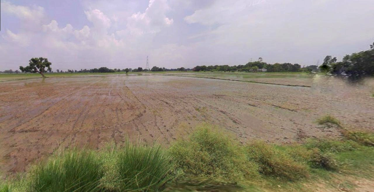 Bijnor, Uttar Pradesh 246701, India