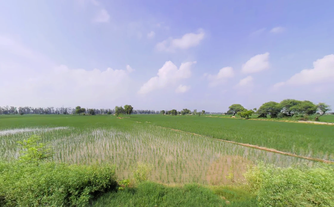 Alewa, Haryana 126111, India
