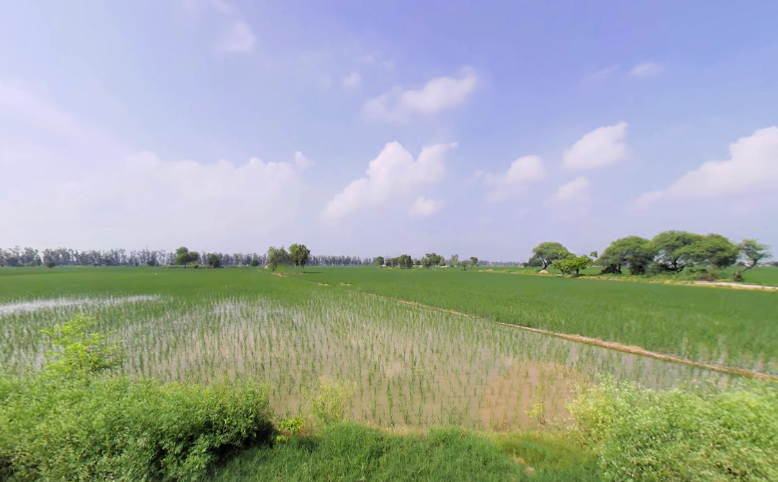 Alewa, Haryana 126111, India