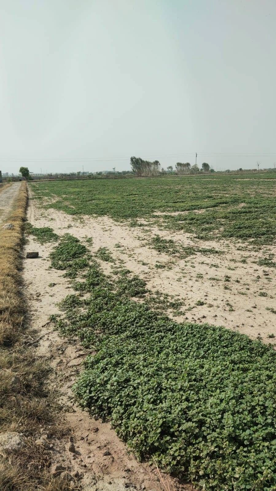 Bindki, Uttar Pradesh 212635, India preview 3