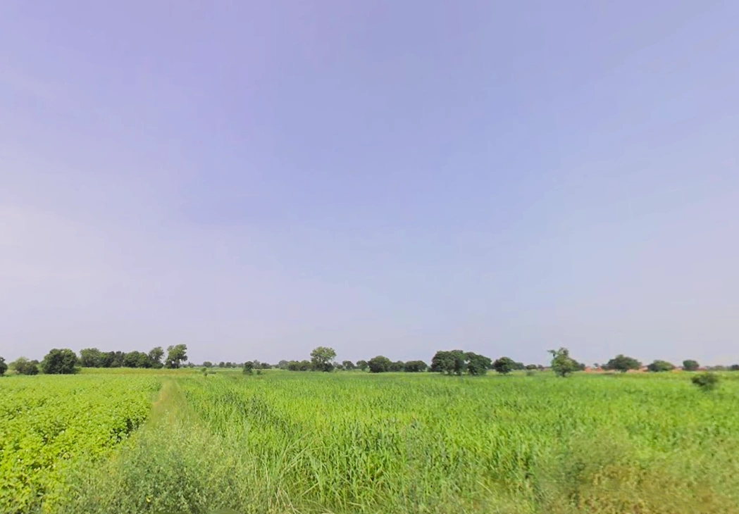 Sohna, Haryana 122103, India