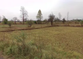 Abhanpur, Chhattisgarh 493661, India preview 2