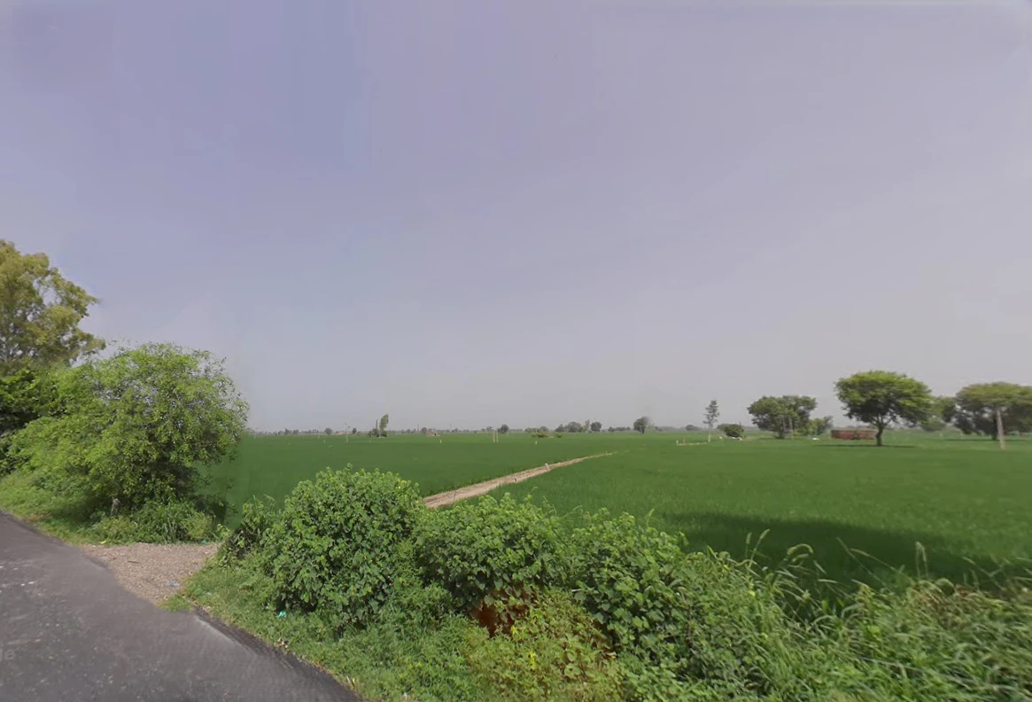 Hathwala, Haryana 132115, India
