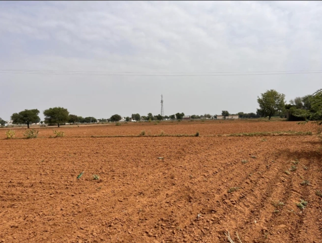 135/7, Raiseena, Haryana 122102, India