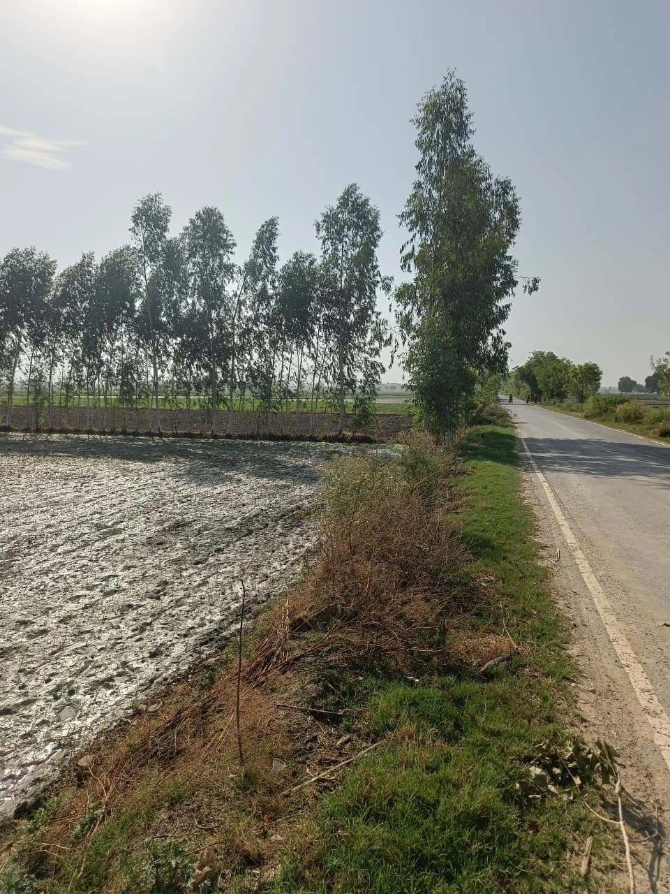 Gauhari, Uttar Pradesh 281401, India preview 3