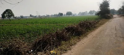 CPQQ+JRM, Tarn Taran, Gagobua, Punjab 143302, India preview 3