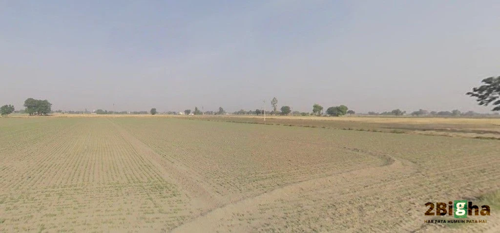 Dulhin Bazar, Bihar 801102, India