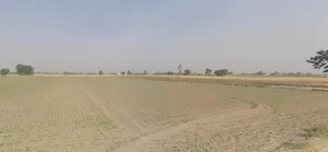 Dulhin Bazar, Bihar 801102, India preview 3