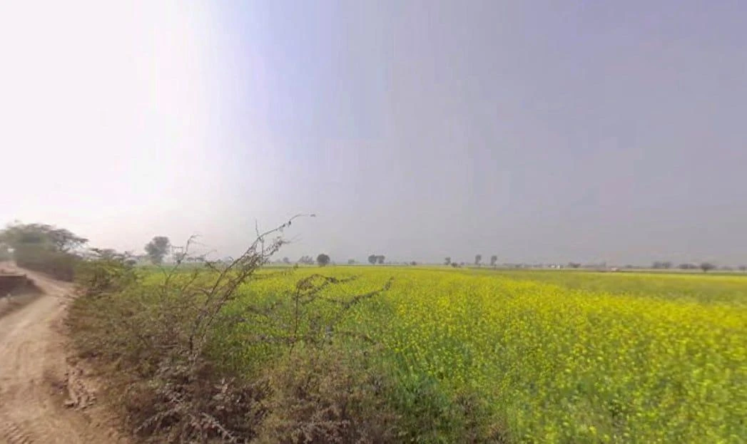 Maujpur, Rajasthan, India
