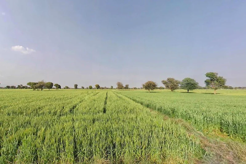 Pali, Rajasthan 301001, India preview 2